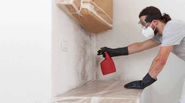 Professional Attic Mold Remediation technician working in Hudsonville, MI